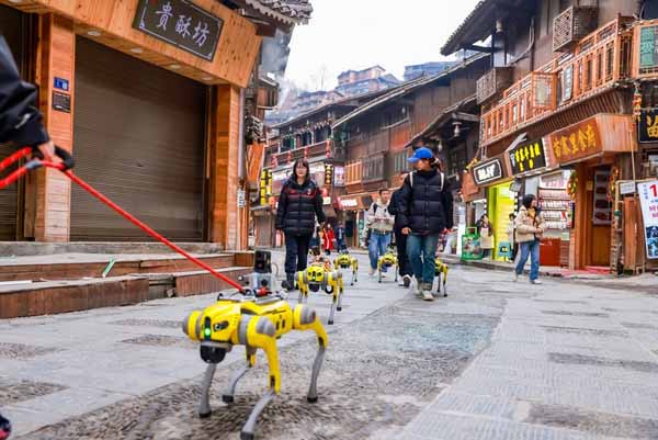 Robot dogs dance their way into the hearts of visitors at Xijiang Qianhu Miao Village in SW China's Guizhou