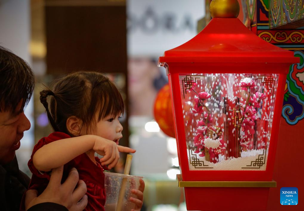 2025 Chinese Lunar New Year Flower and Gift Fair kicks off in Richmond, Canada