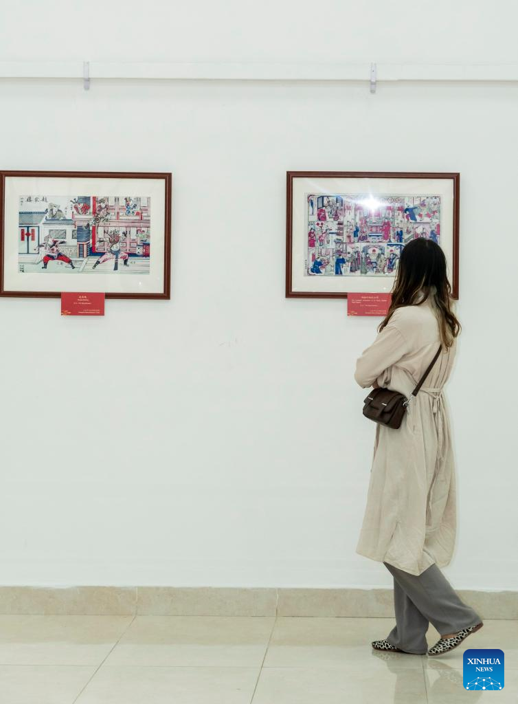 Chinese New Year paintings on display in Nepal